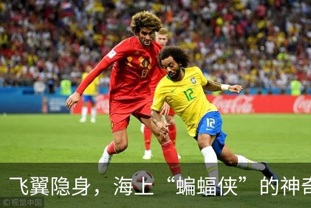 飞翼隐身，海上“蝙蝠侠”的神奇出发！